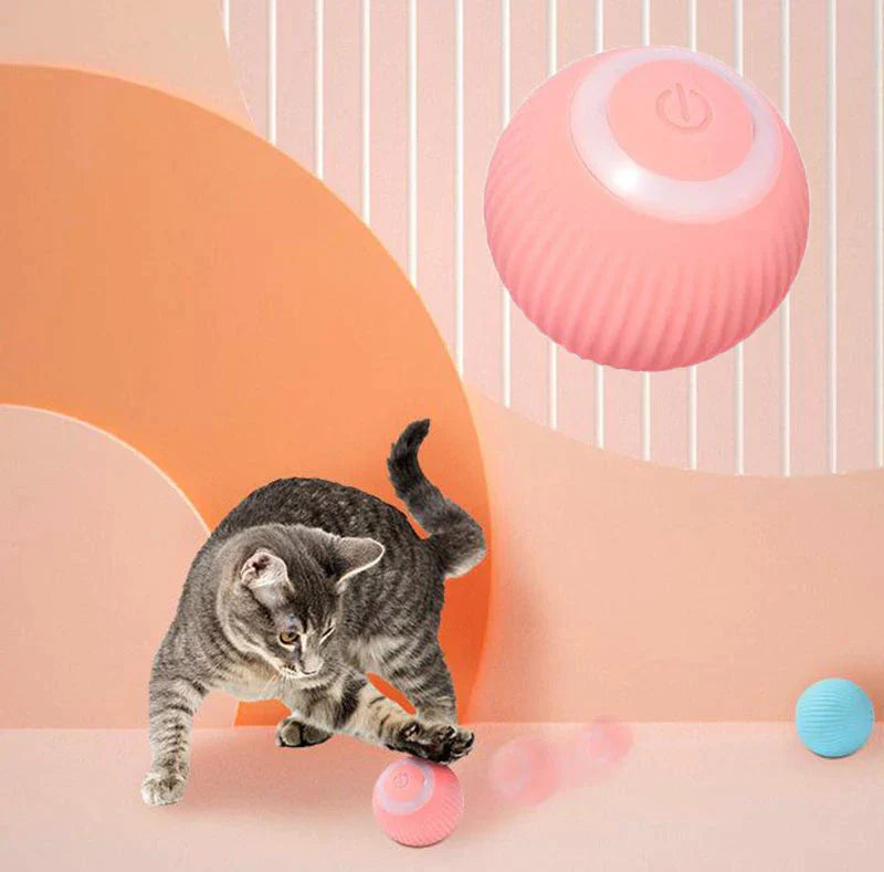 Cat Interactive Toy Ball - | Keep Your Cat Active & Busy | Keep Cat Healthy & Stop Cat Obesity |Ball Rolling in Silence | Silicone Cache Material | Non -Chargeable & Safer Option