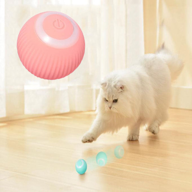 Cat Interactive Toy Ball - | Keep Your Cat Active & Busy | Keep Cat Healthy & Stop Cat Obesity |Ball Rolling in Silence | Silicone Cache Material | Non -Chargeable & Safer Option